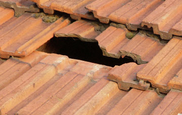 roof repair Tanfield, County Durham